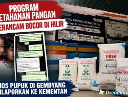 Program Ketahanan Pangan Terancam Bocor di Hilir, Kios Pupuk di Gembyang Dilaporkan ke Kementan