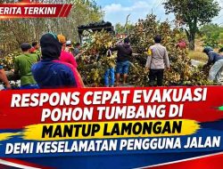 Respons Cepat Evakuasi Pohon Tumbang di Mantup Lamongan Demi Keselamatan Pengguna Jalan