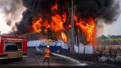 Sisa Bakar Lahan Tebu Picu Petaka, Pabrik Wood Pellet di Lamongan Terbakar Parah