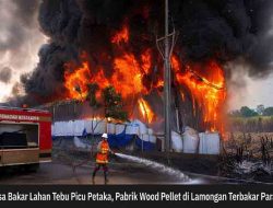 Sisa Bakar Lahan Tebu Picu Petaka, Pabrik Wood Pellet di Lamongan Terbakar Parah