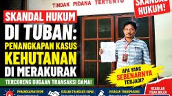 Skandal Hukum di Tuban: Penangkapan Kasus Kehutanan di Merakurak Tercoreng Dugaan Transaksi Damai