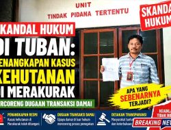 Skandal Hukum di Tuban: Penangkapan Kasus Kehutanan di Merakurak Tercoreng Dugaan Transaksi Damai