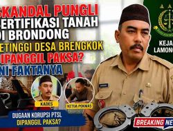 Skandal Pungli Sertifikasi Tanah di Brondong: Petinggi Desa Brengkok Dipanggil Paksa? Ini Faktanya