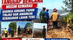 Tanggap Bencana Musim Kemarau, Babinsa Koramil Paron Tinjau dan Amankan Kebakaran Lahan Tebu