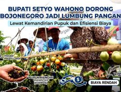 Wujudkan Ketahanan Pangan, Pemkab Bojonegoro Optimis Kawasan Agroforestry Sukoharjo Dongkrak Ekonomi Warga
