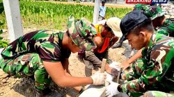 Tak Sekadar Asal Jadi, TNI dan Warga Ngawi Garap Pemasangan Begesting Jalan Paving Lebih Teliti