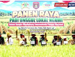 Hasil Panen Padi Sukowiyono Melimpah, Bupati Ony Tekankan Pentingnya Pertanian Ramah Lingkungan