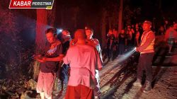 Antisipasi Meluasnya Karhutla, Tim Gabungan Padamkan Kebakaran Lahan Pinus di Sidorejo Ngawi