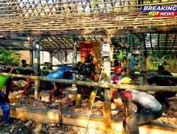 Resep Kekompakan Satgas TMMD Ngawi: Garap Rehab Rumah Suwoto dengan Semangat Ikhlas