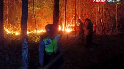 Kebakaran Daun Jati Kering di Ngawi Diduga Akibat Pembakaran Sampah, Ini Kata Polisi