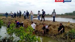 Gandeng Pemdes Mojo, PT Longwell Internasional Bangun Benteng Alami Pesisir Pemalang