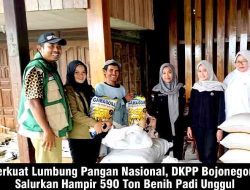 Sukseskan Musim Tanam, DKPP Bojonegoro Kawal Langsung Distribusi Benih Unggul ke Kelompok Tani