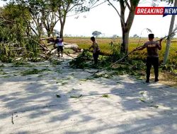 Akses Padas–Pangkur Kembali Normal Usai Petugas Polsek Padas Bersihkan Pohon Tumbang