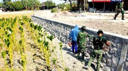 Satgas TMMD ke-130 Kodim Ngawi Finishing Talud Badan Jalan, Utamakan Kualitas dan Ketahanan Bangunan