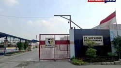 Sistem Manajemen K3 PT SPS Dinilai Belum Menyeluruh Pasca-Tragedi Ledakan Blesscon Lamongan
