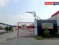 Sistem Manajemen K3 PT SPS Dinilai Belum Menyeluruh Pasca-Tragedi Ledakan Blesscon Lamongan