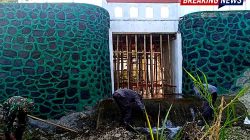 Akses Warga Desa Gendol Makin Mudah, Jembatan Garuda Sine Resmi Beroperasi